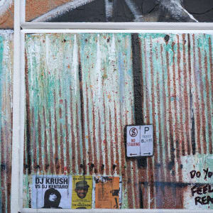 The Busker by Geoff Cunningham 