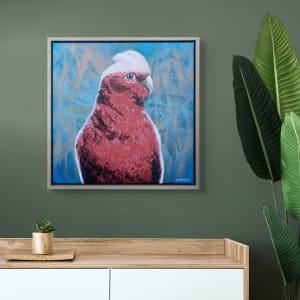 Silly Bloody Galah by Geoff Cunningham 