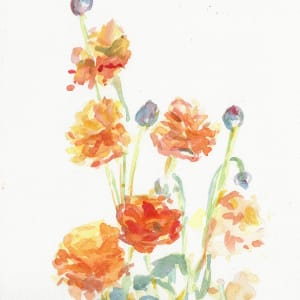 Ranunculus by Michelle Boerio