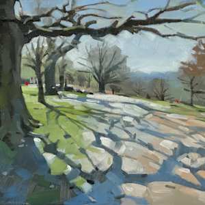 Richmond Park, morning shadows by Andrew Hird ARSMA, Image 1.
