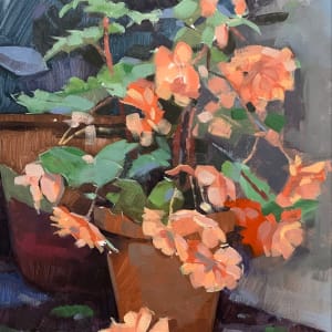 Trailing begonia by Andrew Hird