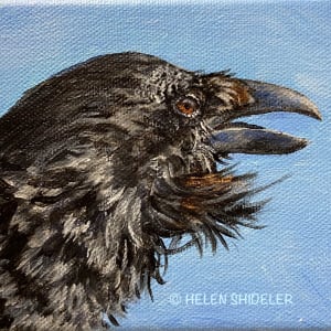 The Tenor by Helen Shideler