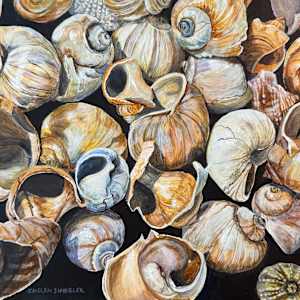 Collected Memories by Helen Shideler