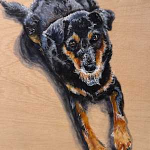 Rocky - Commission by Helen Shideler