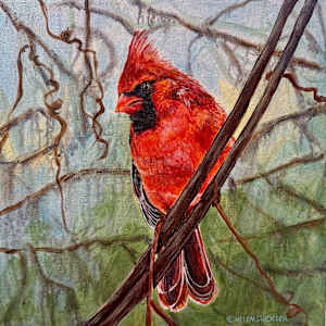 Crimson Cardinal by Helen Shideler