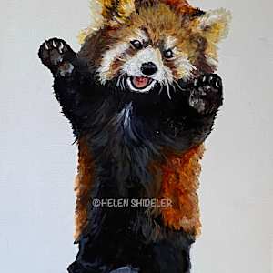 Let's Dance by Helen Shideler