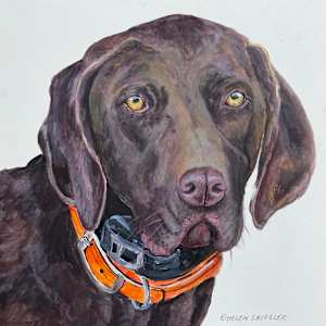 Murphy by Helen Shideler