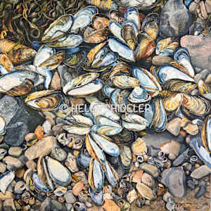 Gathered by the Tide by Helen Shideler