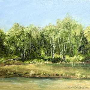 Colours of Late Summer Hammond River by Helen Shideler