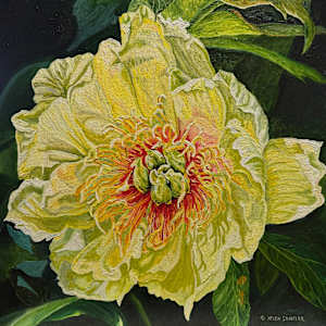 Mellow Yellow by Helen Shideler