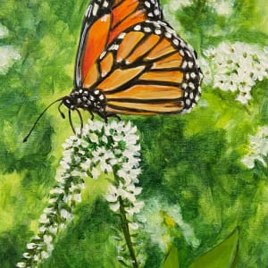 Monarch on Lace by Helen Shideler