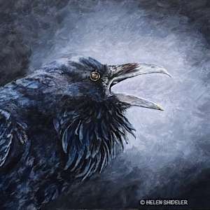 Something to Crow About by Helen Shideler