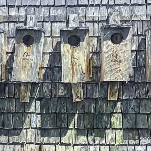 Ducks in a Row by Helen Shideler