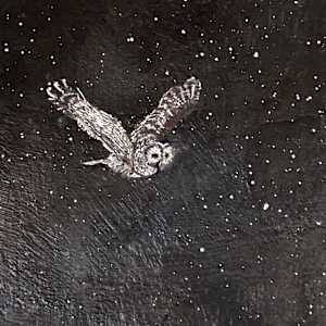 Silent Drift (Barred Owl) by Susan  Wallis
