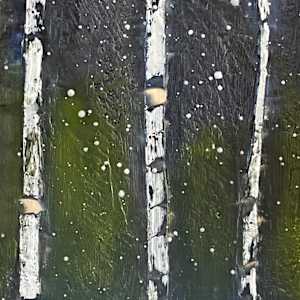 Birch Sentinals by Susan  Wallis