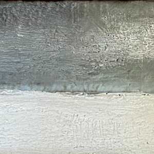Silent Witness by Susan  Wallis