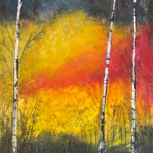 Fire in the Sky by Susan  Wallis