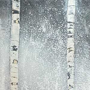 Midnight Companions by Susan  Wallis