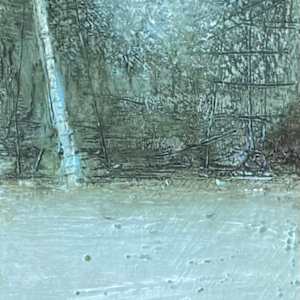 Solitary Birch by Susan  Wallis