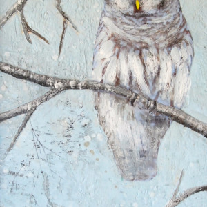 The Owl Knows by Susan  Wallis