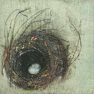 Wonder by Susan  Wallis