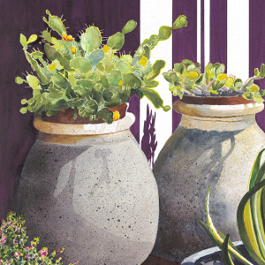 Cactus Pots by Tanis Bula