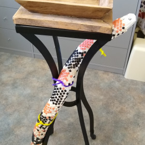 Jerry the Long-Nosed Snake (plant stand) by Andrea L Edmundson 