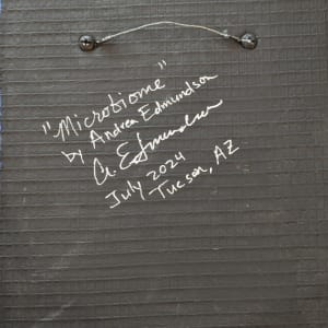 Microbiome by Andrea L Edmundson  Image: Microbiome - back signed