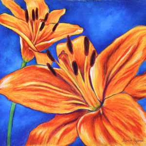 Orange Lily by Merrie Taverna