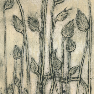 Cotton Tail Grass 2, 1/5 1 by Jacky Lowry