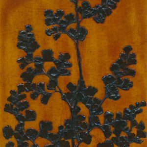 Conondale Maidenhair Fern Plate by Jacky Lowry