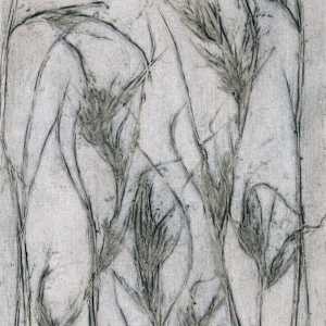 Kangaroo Grass 4 2/5 by Jacky Lowry