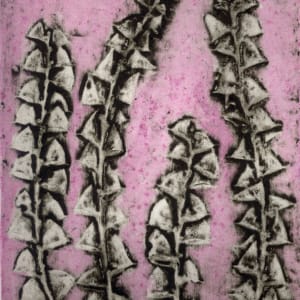 Albany Acacia 8/10 by Jacky Lowry