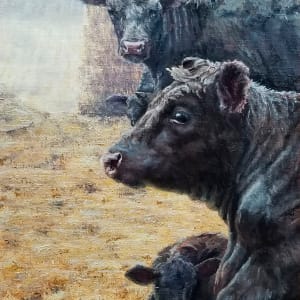 Black Angus by Jan Clizer  Image: Cow and Calf for repro