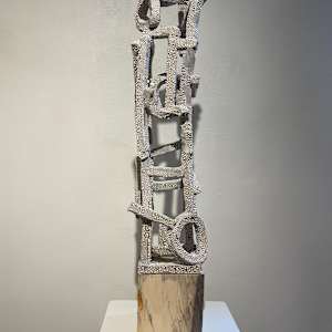 Anakin by Brandon Reese