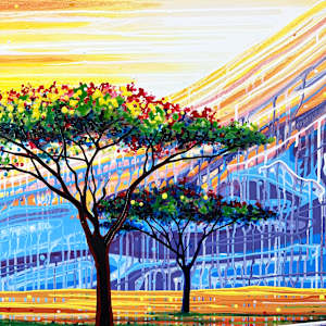 Urban Oasis (Kenya + Tanzania) by Amy Shackleton 