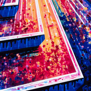 Shining Grove (Ottawa + Kelowna) by Amy Shackleton, Image 5.