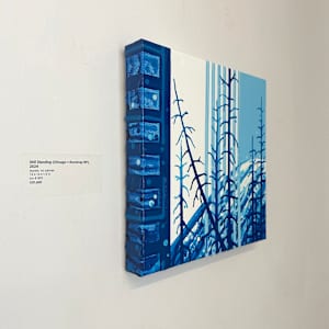 Still Standing (Chicago + Kootenay NP) by Amy Shackleton, Image 2.