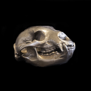 Bronze Bear Skull by Alan Powell 