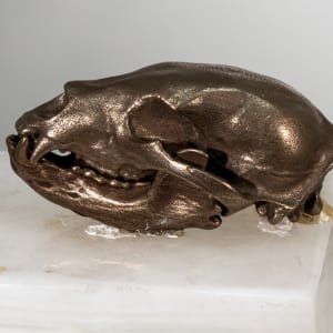 Bronze Bear Skull by Alan Powell 