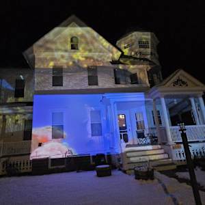 Painted Ladies by Alan Powell 