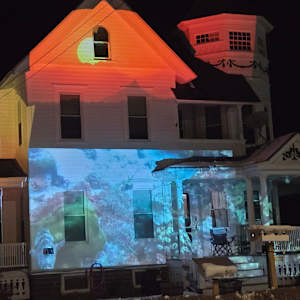 Painted Ladies by Alan Powell 