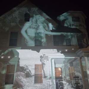 Painted Ladies by Alan Powell 