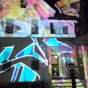 Painted Ladies by Alan Powell 