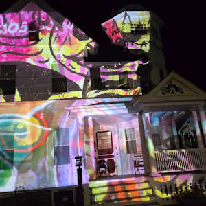 Painted Ladies by Alan Powell