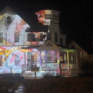 Painted Ladies by Alan Powell 