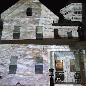 Painted Ladies by Alan Powell 