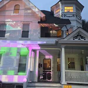 Painted Ladies by Alan Powell 