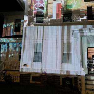 Painted Ladies by Alan Powell 