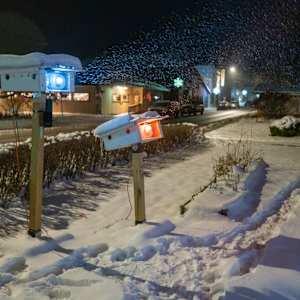 Painted Ladies by Alan Powell 